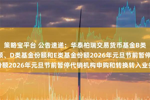 策略宝平台 公告速递：华泰柏瑞交易货币基金B类基金份额、C类基金份额、D类基金份额和E类基金份额2026年元旦节前暂停代销机构申购和转换转入业务