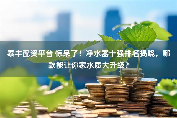 泰丰配资平台 惊呆了！净水器十强排名揭晓，哪款能让你家水质大升级？